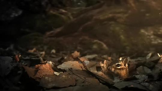 电视剧《隐秘王国  Hidden Kingdoms》（2014英国）--高清4K/1080P迅雷BT资源下载