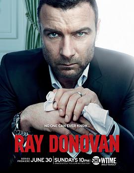 电视剧《清道夫 第一季  Ray Donovan》（2013美国）--高清4K/1080P迅雷BT资源下载