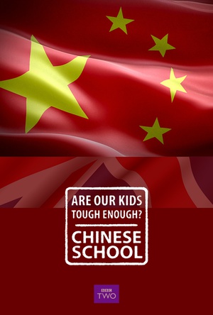 电视剧《我们的孩子足够坚强吗？中式学校  Are Our Kids Tough Enough? Chinese School》（2015英国）--高清4K/1080P迅雷BT资源下载