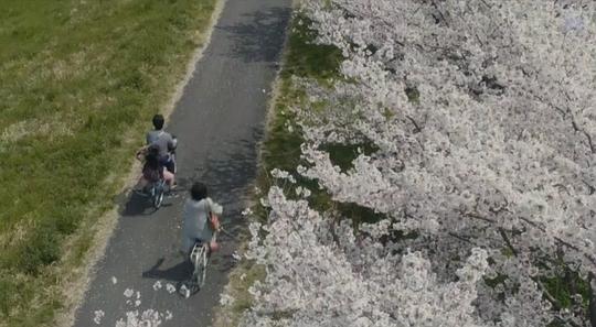 电影《人生密密缝  彼らが本気で編むときは、》（2017日本）--高清4K/1080P迅雷BT资源下载