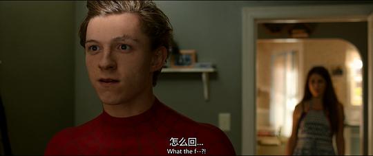 电影《蜘蛛侠：英雄归来  Spider-Man: Homecoming》（2017美国）--高清4K/1080P迅雷BT资源下载