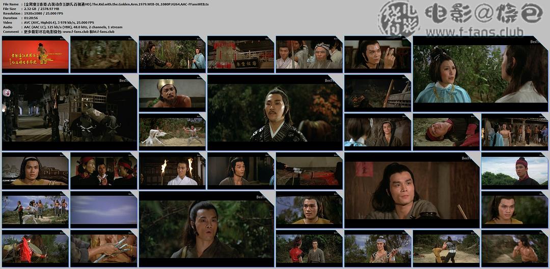 电影《金臂童》（1979中国香港）--高清4K/1080P迅雷BT资源下载