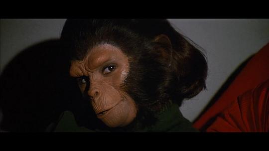 电影《猩球征服  Conquest of the Planet of the Apes》（1972美国）--高清4K/1080P迅雷BT资源下载