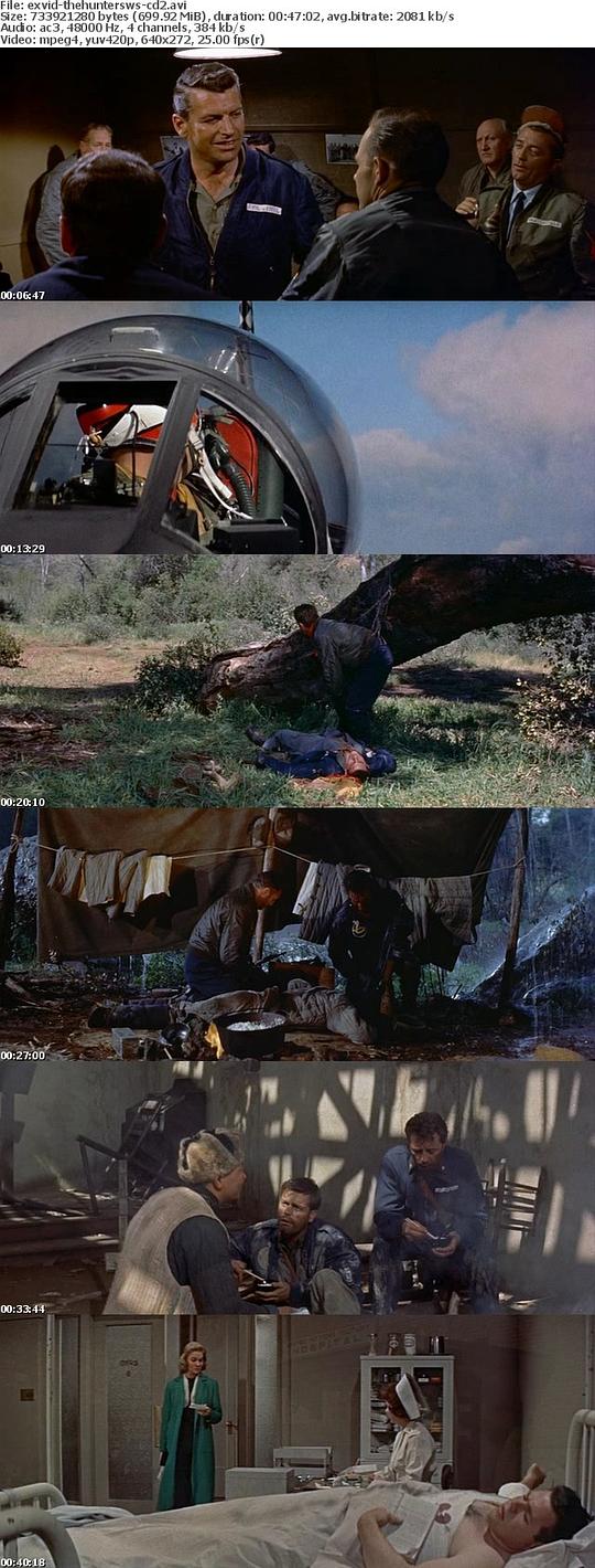 电影《百战长空  The Hunters》（1958美国）--高清4K/1080P迅雷BT资源下载