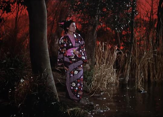 电影《柳生武艺帐  柳生武芸帳》（1957日本）--高清4K/1080P迅雷BT资源下载