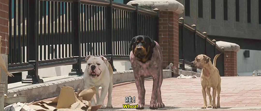 电影《超狗任务  Underdog》（2007美国）--高清4K/1080P迅雷BT资源下载