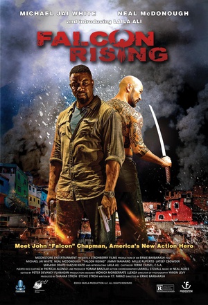 电影《猎鹰突起  Falcon Rising》（2014美国）--高清4K/1080P迅雷BT资源下载