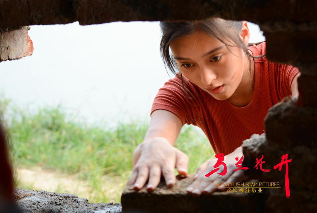 电影《马兰花开》（2018中国大陆）--高清4K/1080P迅雷BT资源下载