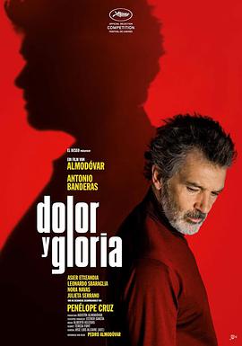 电影《痛苦与荣耀  Dolor y gloria》（2019西班牙 / 法国）--高清4K/1080P迅雷BT资源下载