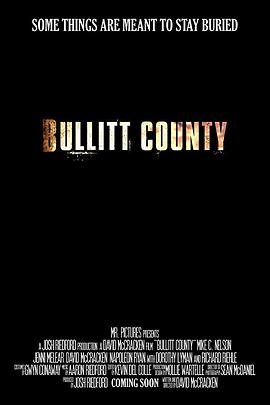 电影《布利特县  Bullitt County》（2018美国）--高清4K/1080P迅雷BT资源下载