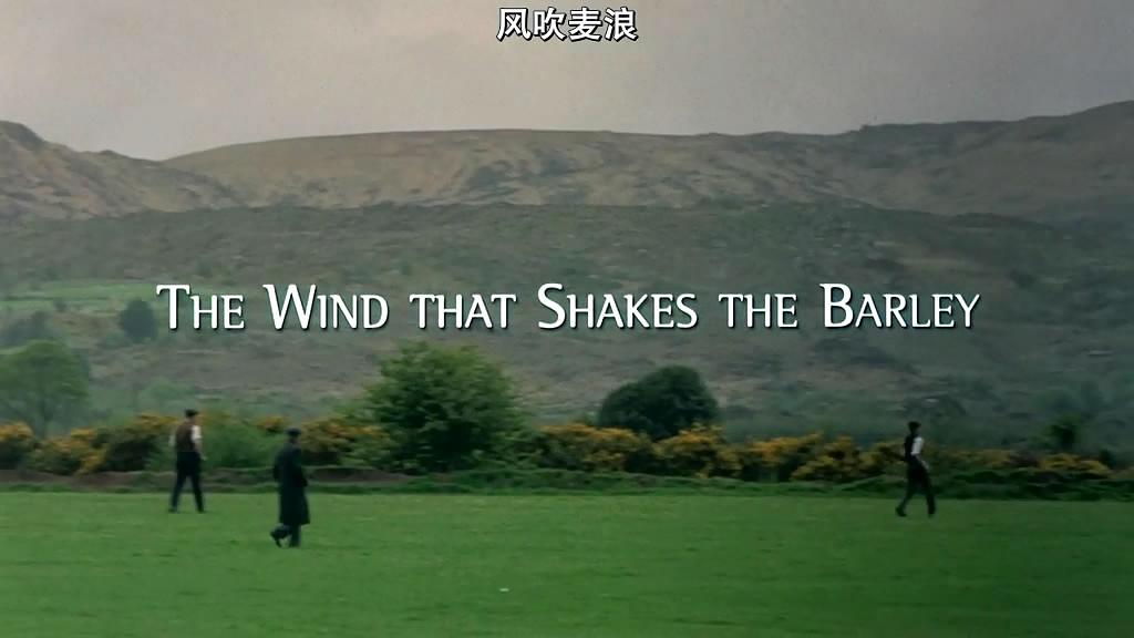 电影《风吹麦浪  The Wind That Shakes the Barley》（2006爱尔兰 / 英国 / 德国 / 意大利 / 西班牙 / 法国 / 比利时 / 瑞典）--高清4K/1080P迅雷BT资源下载