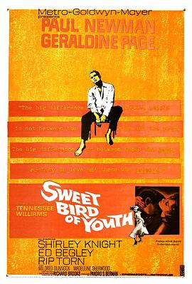 电影《春浓满楼情痴狂  Sweet Bird of Youth》（1962美国）--高清4K/1080P迅雷BT资源下载