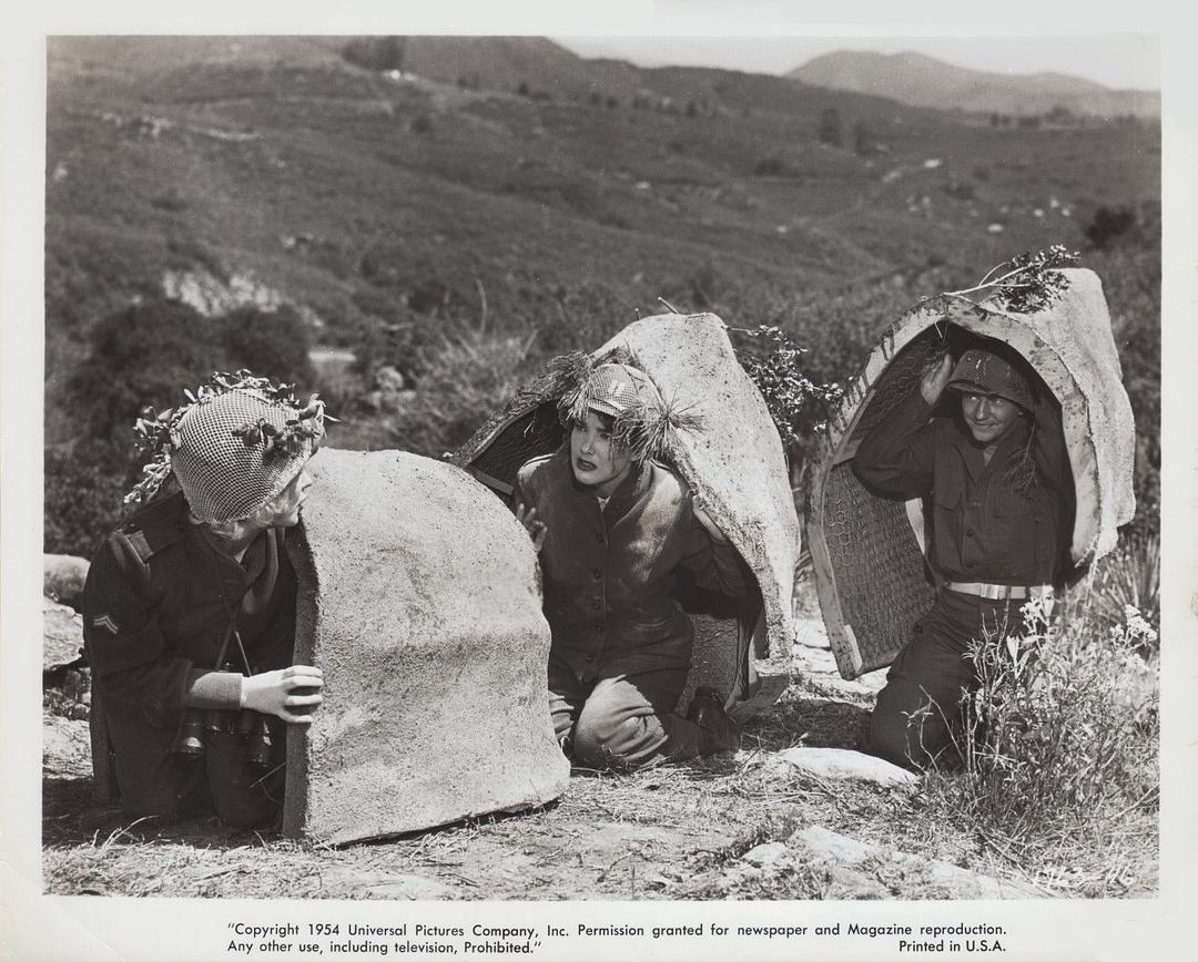 电影《神骡大闹脂粉阵  Francis Joins the WACS》（1954美国）--高清4K/1080P迅雷BT资源下载