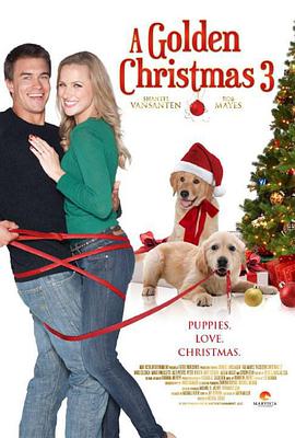 电影《A Golden Christmas 3》（2012美国）--高清4K/1080P迅雷BT资源下载