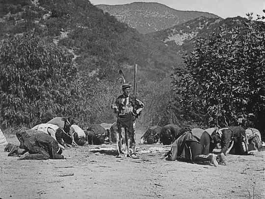 电影《白面酋长  The Paleface》（1922美国）--高清4K/1080P迅雷BT资源下载