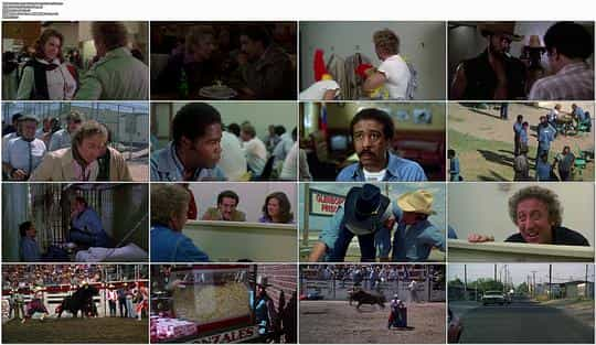 电影《油腔滑调  Stir Crazy》（1980美国）--高清4K/1080P迅雷BT资源下载