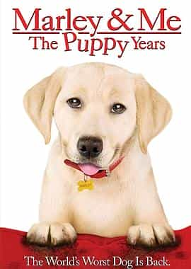 电影《马利和我2  Marley &amp; Me: The Puppy Years》（2011美国）--高清4K/1080P迅雷BT资源下载