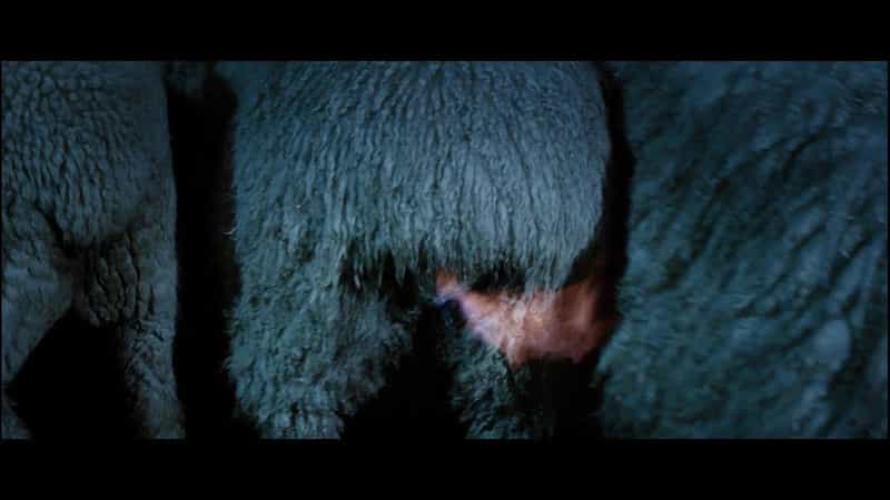 电影《疯羊 Black Sheep》(2006新西兰)--高清4K/1080P迅雷BT资源下载 电影《疯羊 Black Sheep》(2006新西兰)--高清4K/1080P迅雷BT资源下载