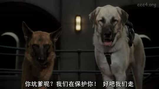 电影《猫狗大战2：珍珠猫复仇  Cats &amp; Dogs: The Revenge of Kitty Galore》（2010美国 / 澳大利亚）--高清4K/1080P迅雷BT资源下载