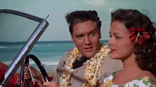 电影《蓝色夏威夷  Blue Hawaii》（1961美国）--高清4K/1080P迅雷BT资源下载