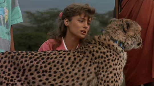 电影《孤豹奇缘  Cheetah》（1989美国）--高清4K/1080P迅雷BT资源下载