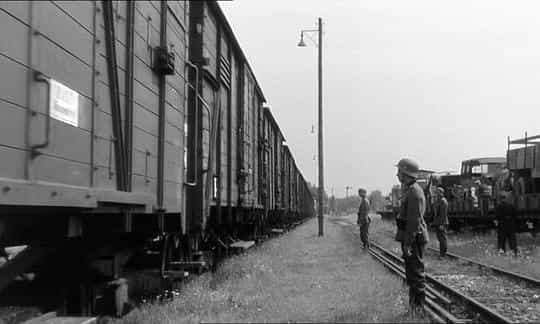 电影《奶牛与战俘  La Vache et le prisonnier》（1959法国 / 意大利）--高清4K/1080P迅雷BT资源下载