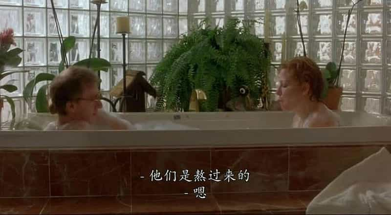 电影《爱情外一章  Scenes from a Mall》（1991美国）--高清4K/1080P迅雷BT资源下载