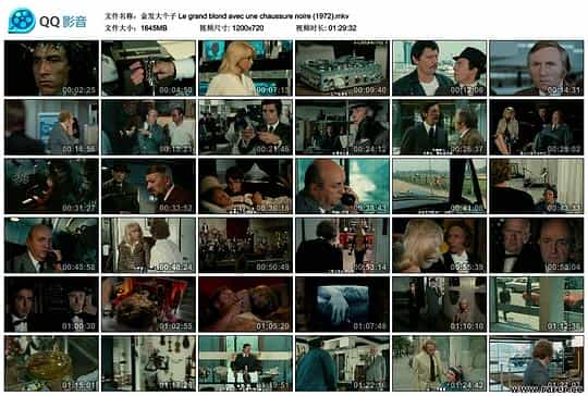 电影《金发大个子  Le grand blond avec une chaussure noire》（1972法国）--高清4K/1080P迅雷BT资源下载