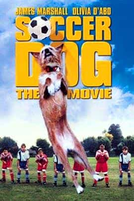 电影《我的狗腿很厉害  Soccer Dog: The Movie》（1999美国）--高清4K/1080P迅雷BT资源下载