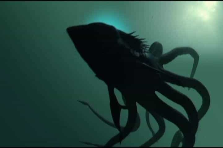 电影《章鲨  Sharktopus》（2010美国）--高清4K/1080P迅雷BT资源下载