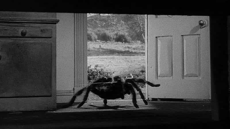 电影《狼蛛  Tarantula》（1955美国）--高清4K/1080P迅雷BT资源下载