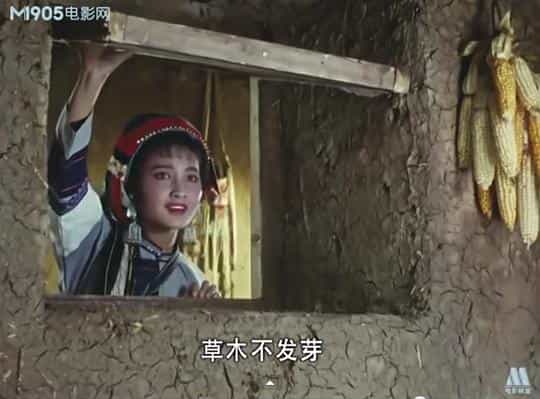 电影《阿诗玛》（1964中国大陆）--高清4K/1080P迅雷BT资源下载