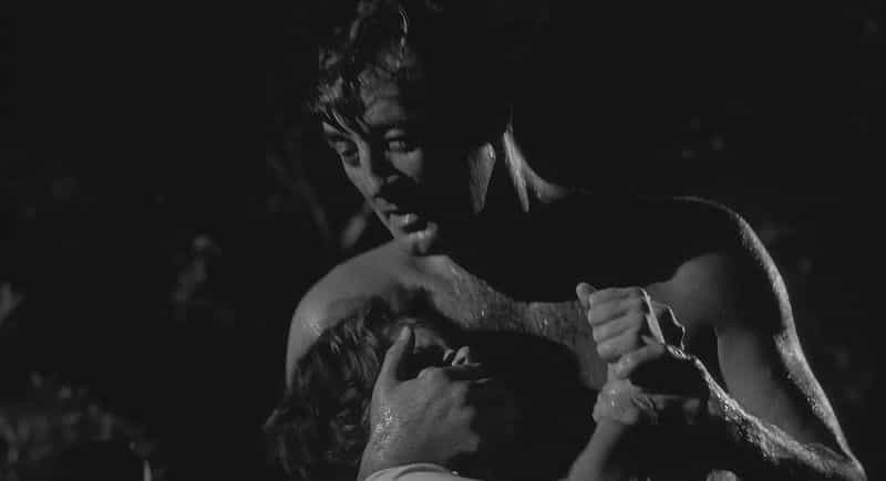 电影《恐怖角  Cape Fear》（1962美国）--高清4K/1080P迅雷BT资源下载