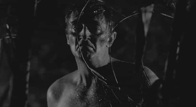 电影《恐怖角  Cape Fear》（1962美国）--高清4K/1080P迅雷BT资源下载