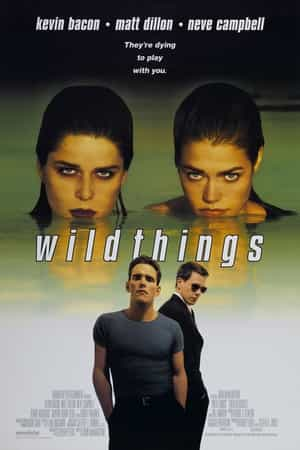 电影《玩尽杀绝  Wild Things》（1998美国）--高清4K/1080P迅雷BT资源下载