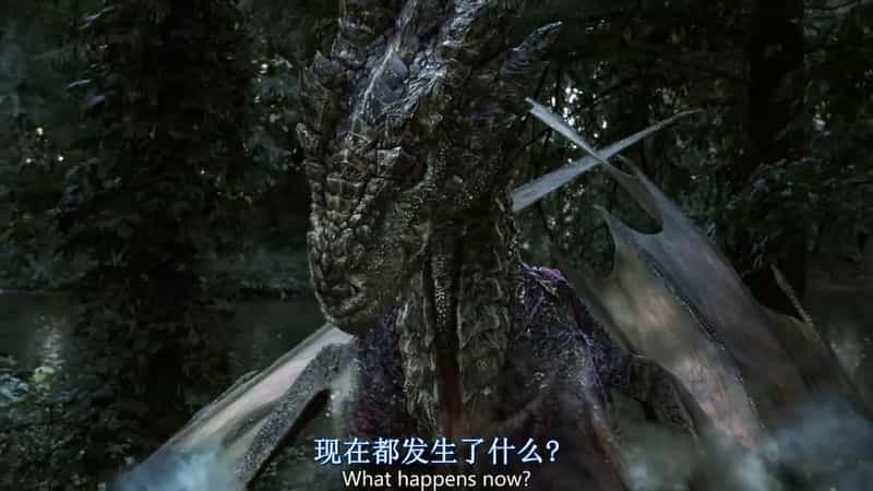 电影《龙之心3：巫师的诅咒  Dragonheart 3: The Sorcerer's Curse》（2015美国）--高清4K/1080P迅雷BT资源下载