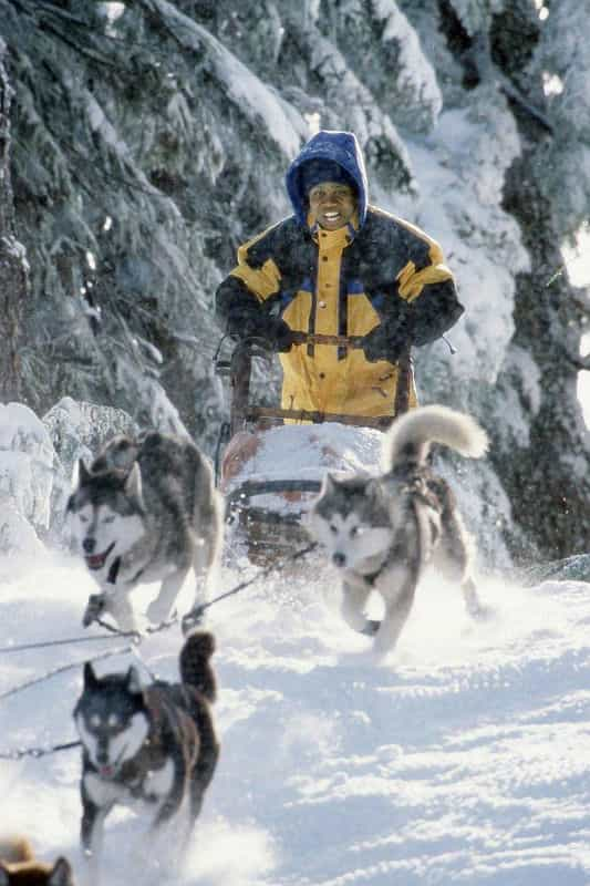 电影《雪地狂奔  Snow Dogs》（2002加拿大 / 美国）--高清4K/1080P迅雷BT资源下载