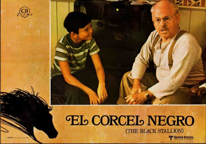 电影《黑神驹 The Black Stallion》(1979美国)--高清4K/1080P迅雷BT资源下载 电影《黑神驹 The Black Stallion》(1979美国)--高清4K/1080P迅雷BT资源下载