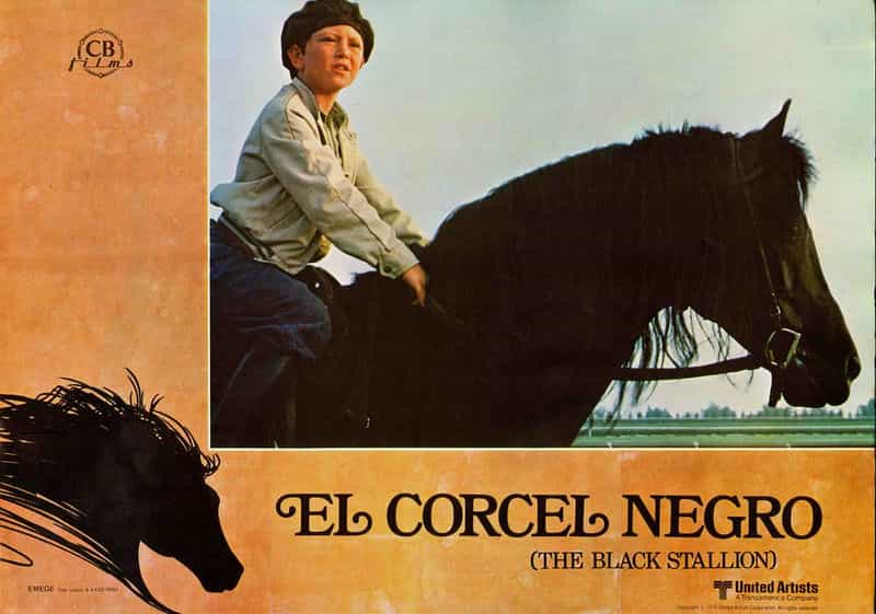 电影《黑神驹 The Black Stallion》(1979美国)--高清4K/1080P迅雷BT资源下载 电影《黑神驹 The Black Stallion》(1979美国)--高清4K/1080P迅雷BT资源下载