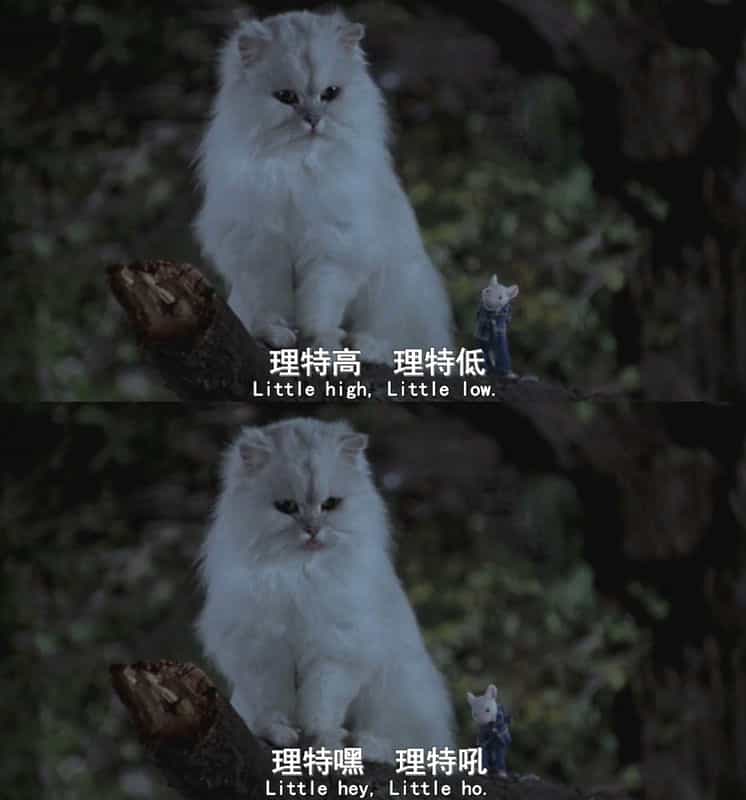 电影《精灵鼠小弟 Stuart Little》(1999美国 / 德国)--高清4K/1080P迅雷BT资源下载 电影《精灵鼠小弟 Stuart Little》(1999美国 / 德国)--高清4K/1080P迅雷BT资源下载