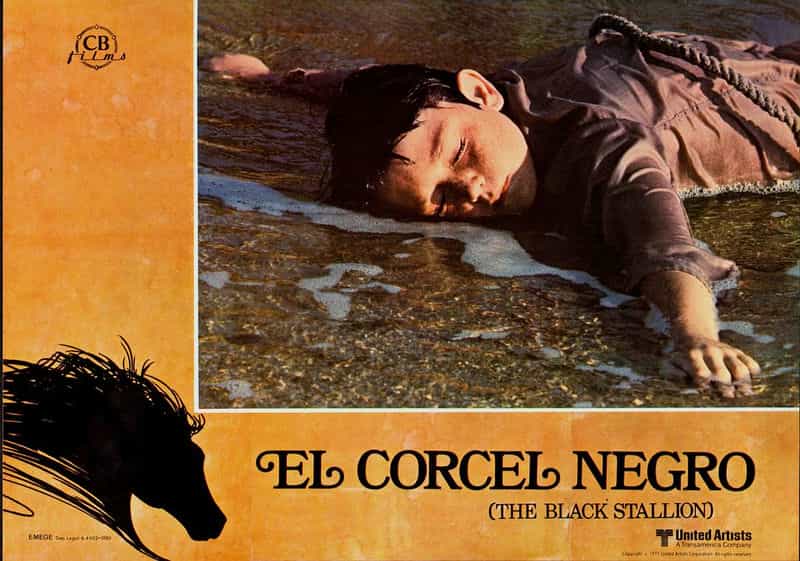 电影《黑神驹 The Black Stallion》(1979美国)--高清4K/1080P迅雷BT资源下载 电影《黑神驹 The Black Stallion》(1979美国)--高清4K/1080P迅雷BT资源下载