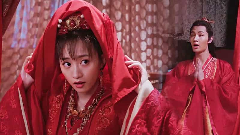 电影《翠狐戏夫》（2020中国大陆）--高清4K/1080P迅雷BT资源下载