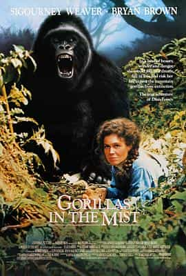 电影《迷雾森林十八年  Gorillas in the Mist: The Story of Dian Fossey》（1988美国）--高清4K/1080P迅雷BT资源下载