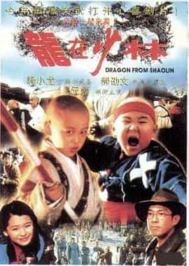 电影短片《龙在少林  龍在少林》（1996中国香港 / 中国台湾）--高清4K/1080P迅雷BT资源下载