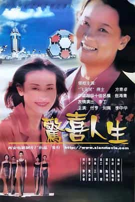 电影《惊喜人生》（1999中国大陆）--高清4K/1080P迅雷BT资源下载