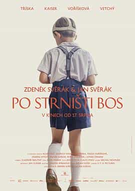 电影《赤脚  Po strnisti bos》（2017捷克）--高清4K/1080P迅雷BT资源下载