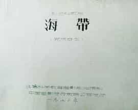 电影《海带》（1973中国大陆）--高清4K/1080P迅雷BT资源下载