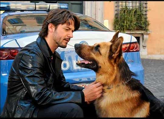 电影《警犬莱克斯  Il commissario Rex》（2008意大利）--高清4K/1080P迅雷BT资源下载
