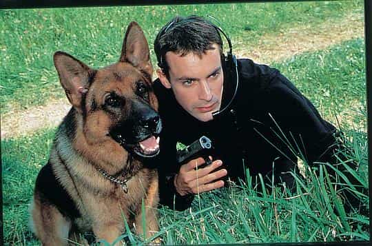 电影《警犬莱克斯  Il commissario Rex》（2008意大利）--高清4K/1080P迅雷BT资源下载
