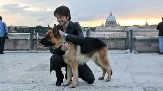 电影《警犬莱克斯  Il commissario Rex》（2008意大利）--高清4K/1080P迅雷BT资源下载